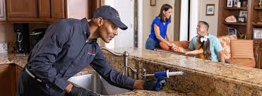 Professional Pest control in Keedysville, MD